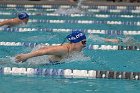 Swim vs Bentley  Wheaton College Swimming & Diving vs Bentley University. - Photo by Keith Nordstrom : Wheaton, Swimming & Diving